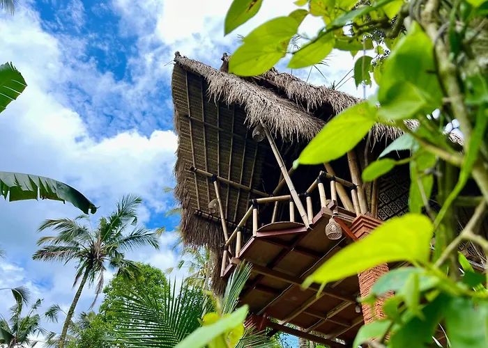 Rafka Bamboo House With Jungle Views Chalet