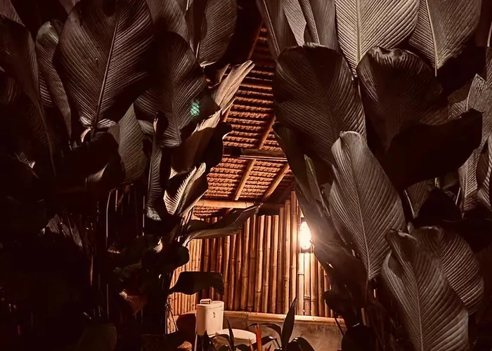 Chalet Rafka Bamboo House With Jungle Views