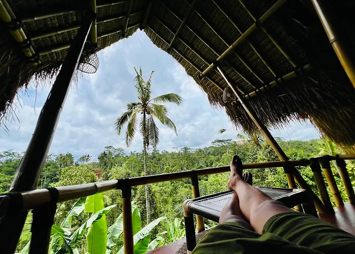 Chalet Rafka Bamboo House With Jungle Views