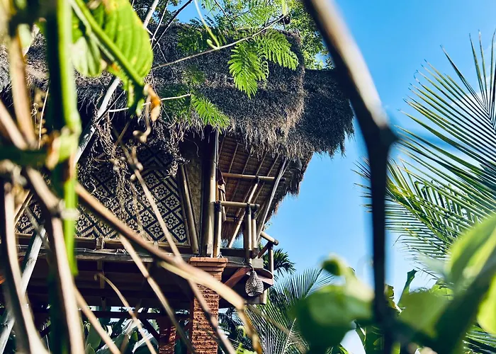 Rafka Bamboo House With Jungle Views