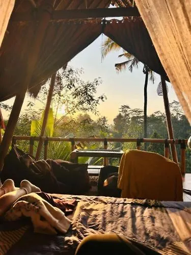 Rafka Bamboo House With Jungle Views